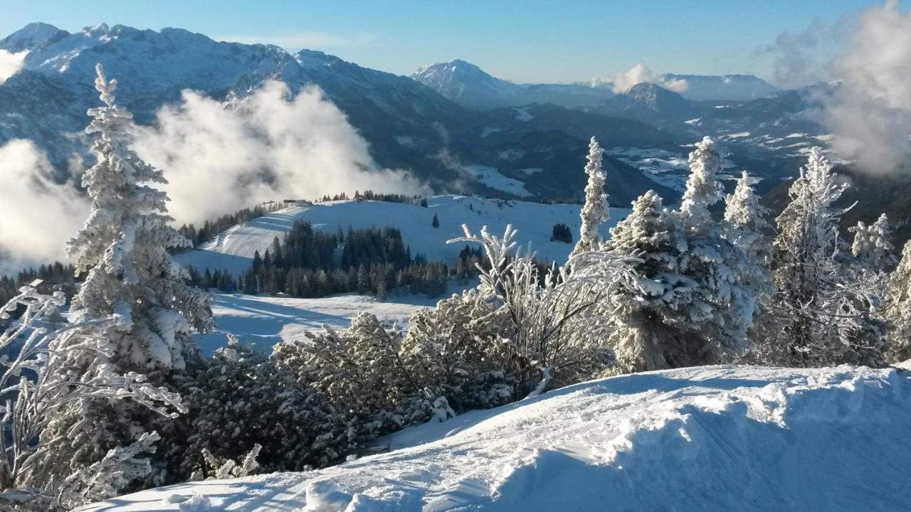 Fesengut Hotel Annaberg im Lammertal Buitenkant foto