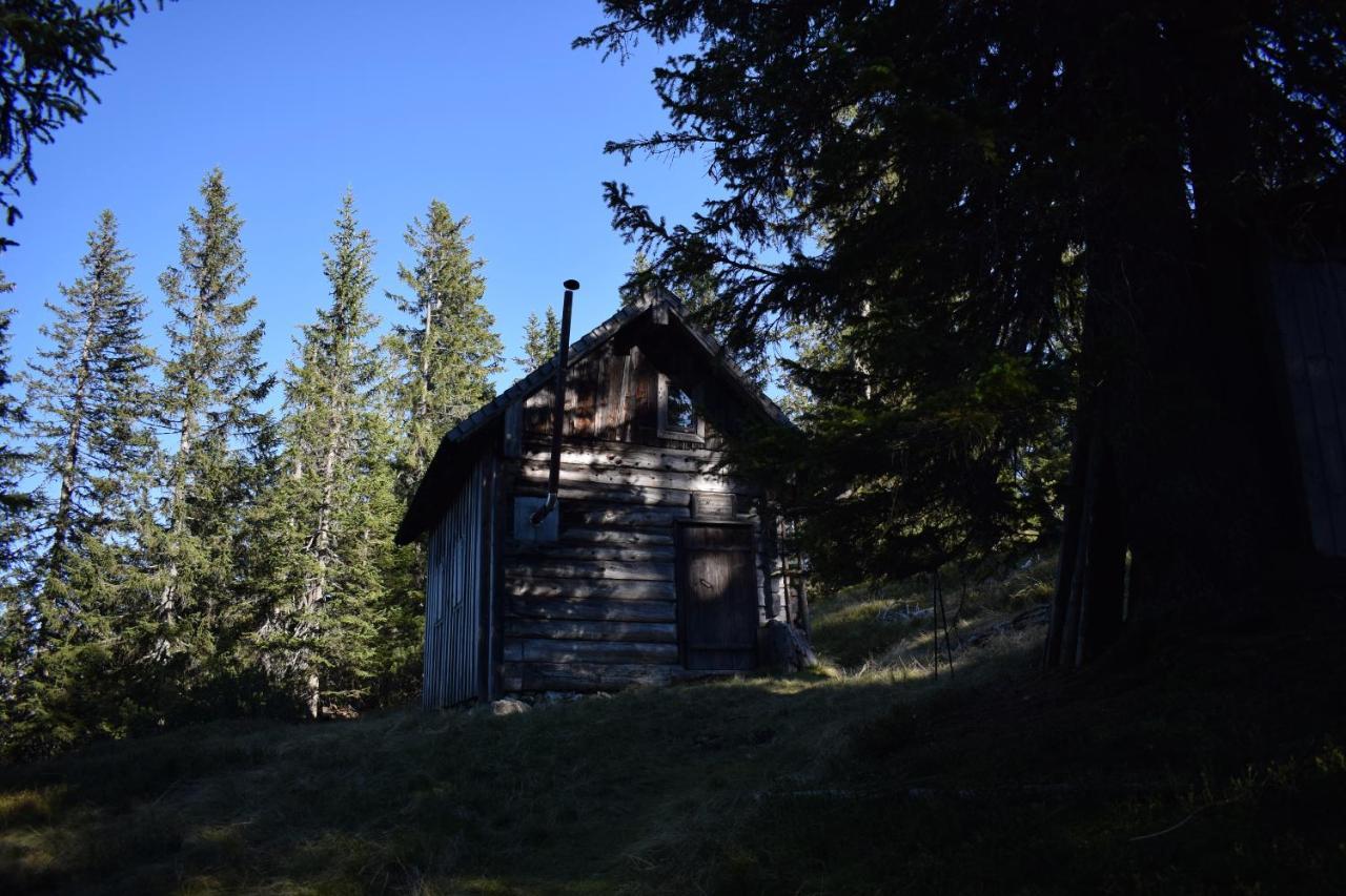 Fesengut Hotel Annaberg im Lammertal Buitenkant foto