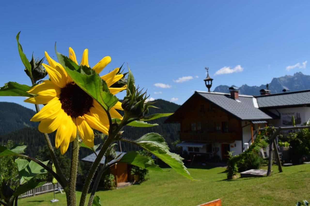 Fesengut Hotel Annaberg im Lammertal Buitenkant foto