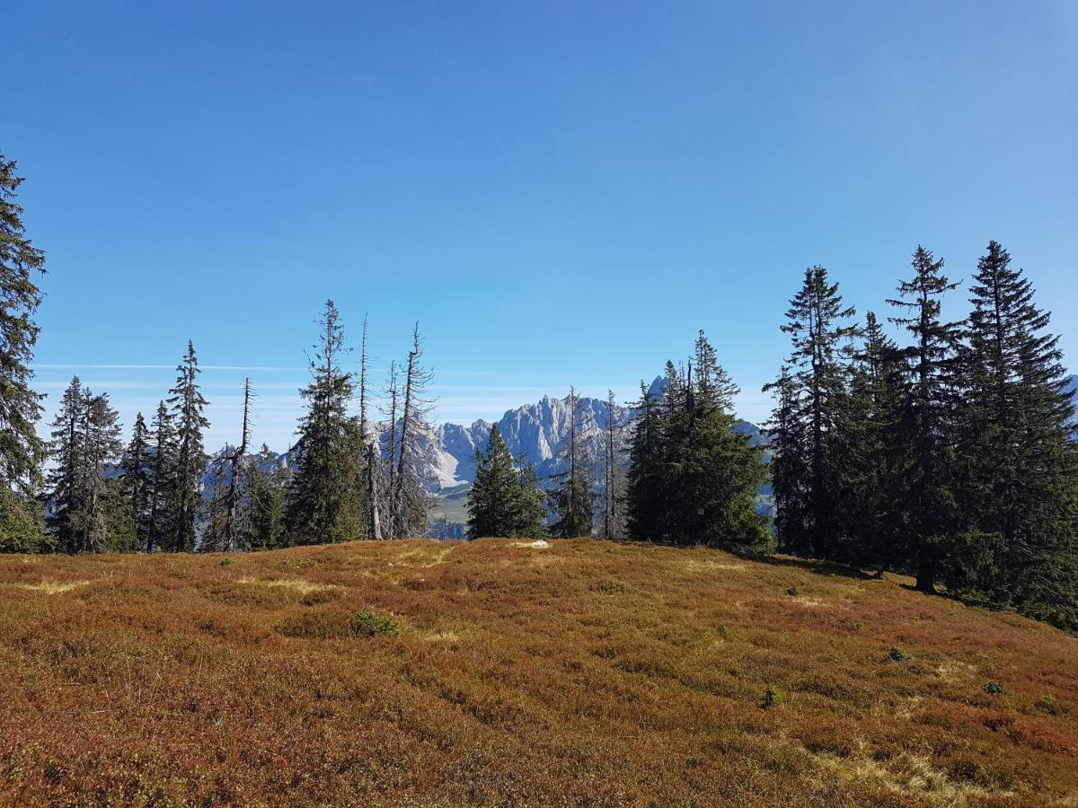 Fesengut Hotel Annaberg im Lammertal Buitenkant foto