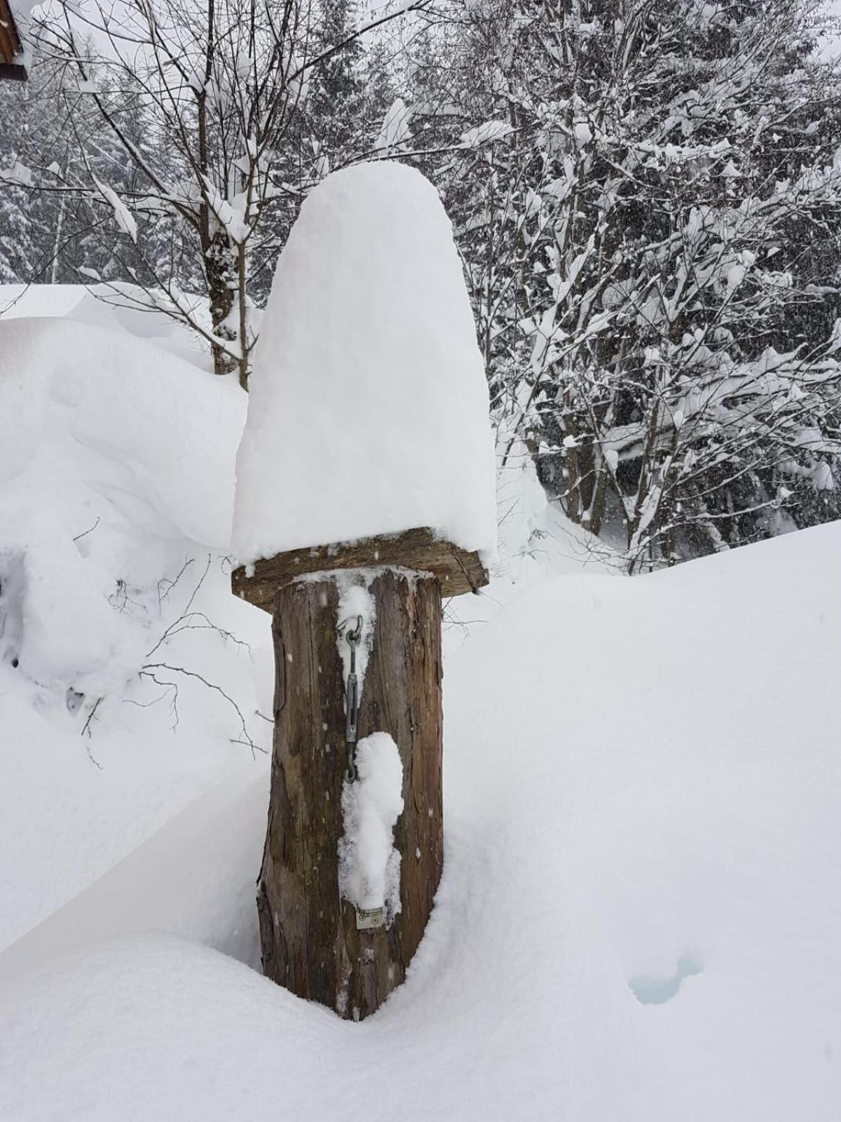 Fesengut Hotel Annaberg im Lammertal Buitenkant foto