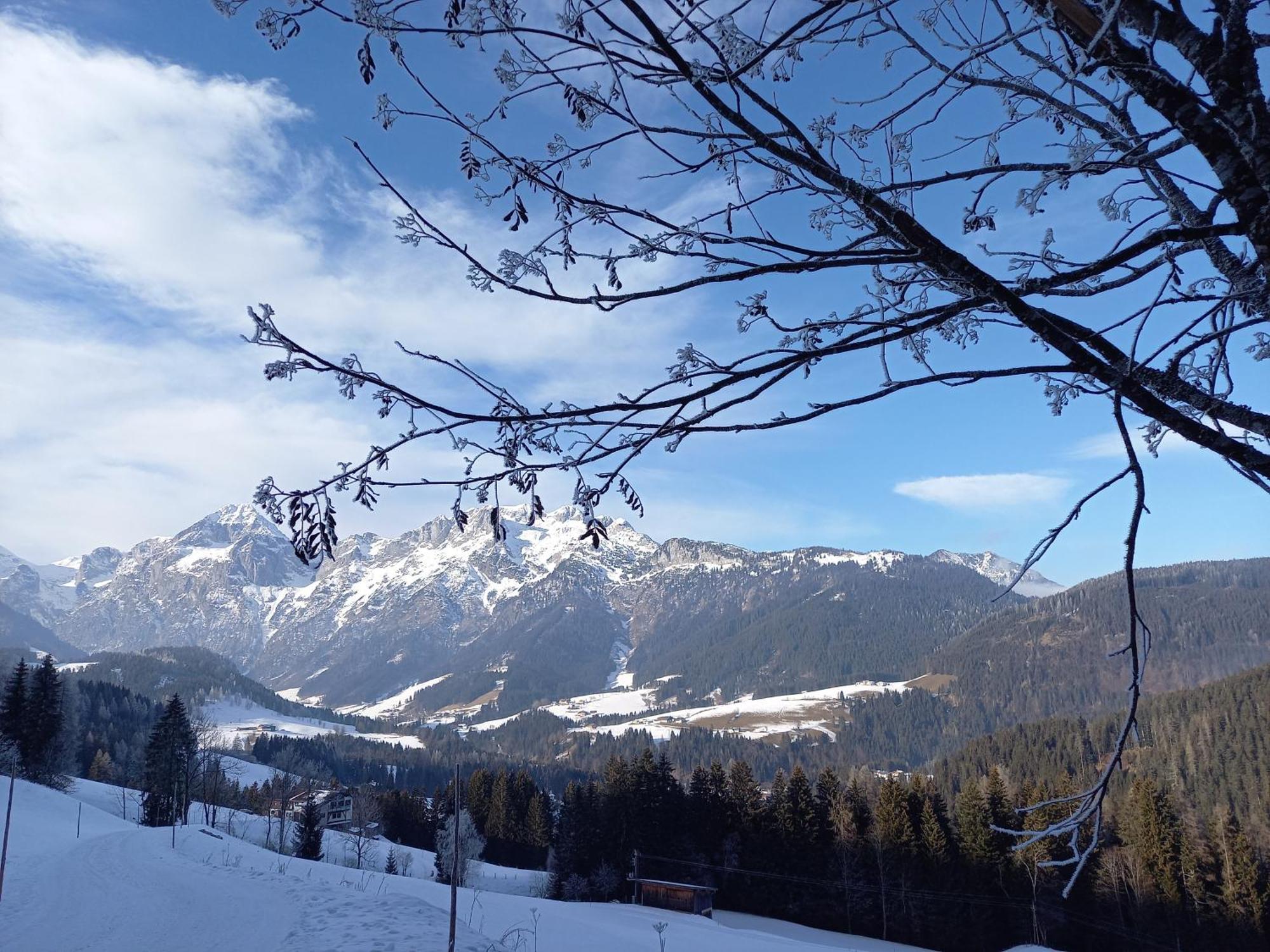 Fesengut Hotel Annaberg im Lammertal Buitenkant foto