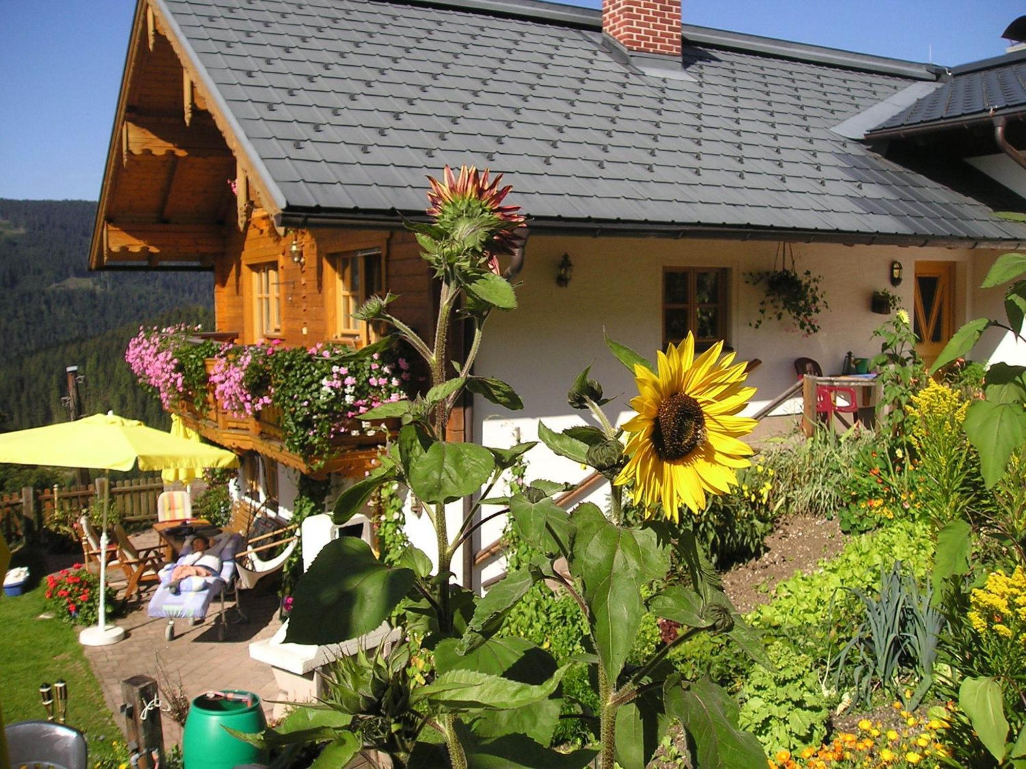 Fesengut Hotel Annaberg im Lammertal Buitenkant foto